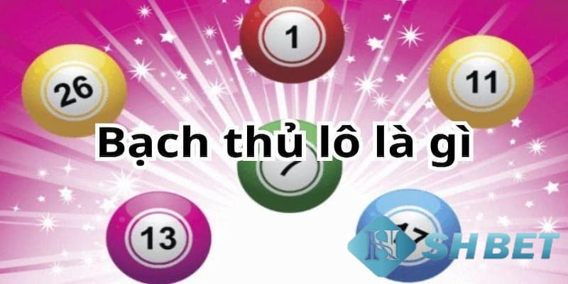 Bạch thủ lô là gì?