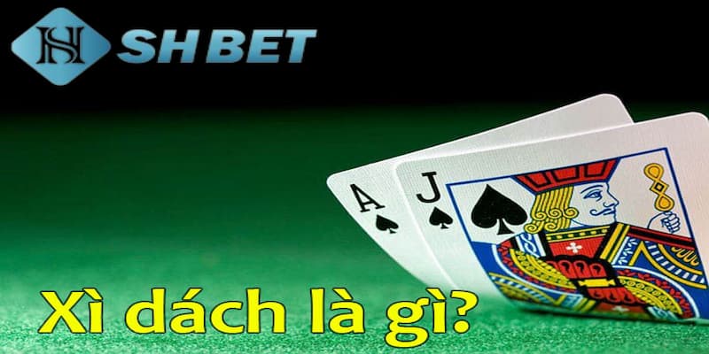Khám phá cách chơi xì dách trong casino cho người mới