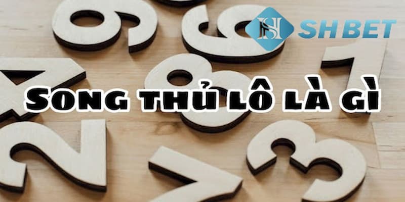 Định nghĩa song thủ lô là gì?