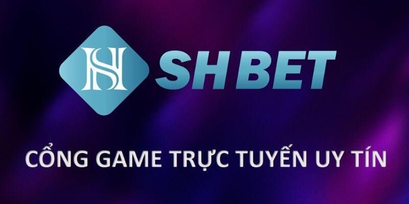 Nội dung chính về điều kiện điều khoản chung của Shbet