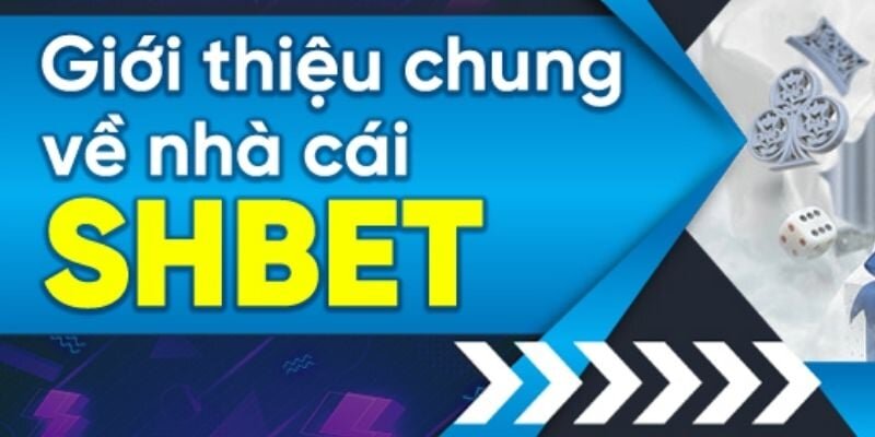 Giới thiệu về sự ra đời và phát triển của nhà cái hàng đầu