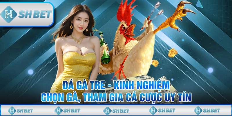 đá gà tre