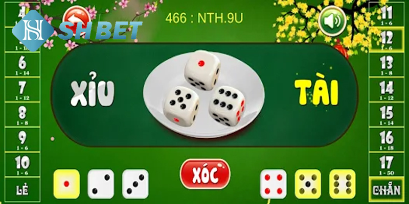 Các cửa cược phổ biến và nên tham gia để nhân vốn