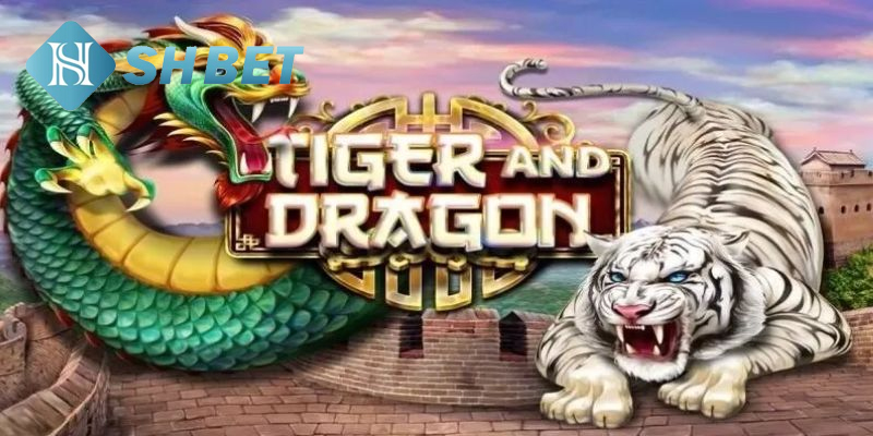Cách chơi rồng hổ 99 đơn giản và dễ hiểu cho người mới