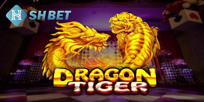 4 câu hỏi thường gặp khi chơi rồng hổ tại hệ thống online