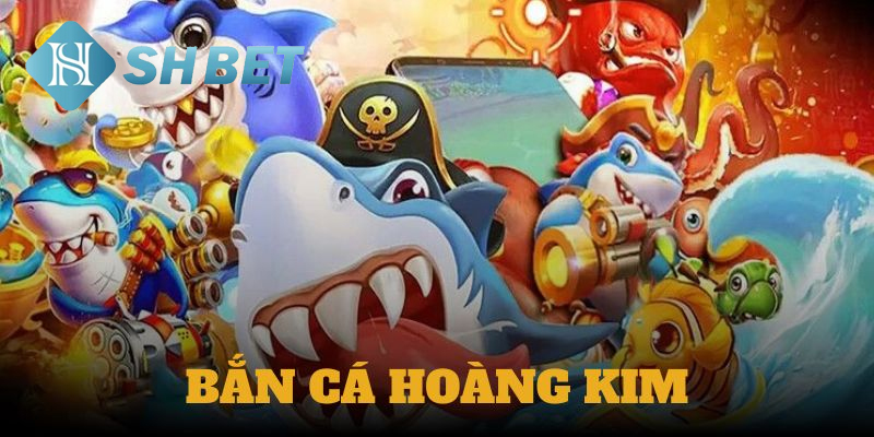 Rút, nạp tiền linh hoạt