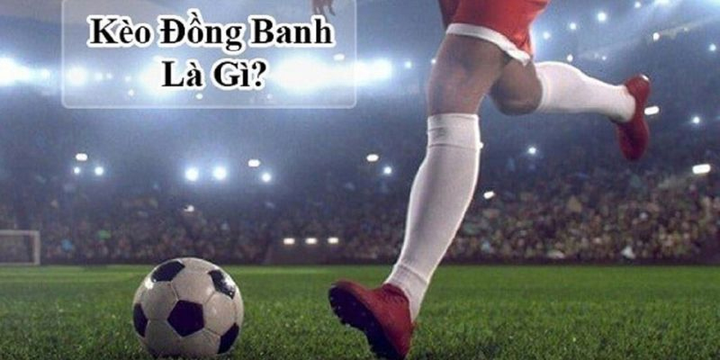 Mẹo thắng kèo đồng banh nửa trái