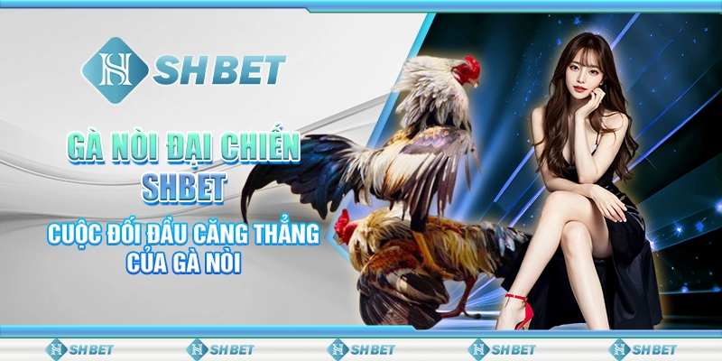 Gà Nòi Đại Chiến SHBET- Cuộc Đối Đầu Căng Thẳng Của Gà Nòi