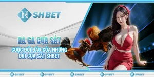 Đá Gà Cựa Sắt- Cuộc Đối Đầu Của Những Đôi Cựa Sắt SHBET