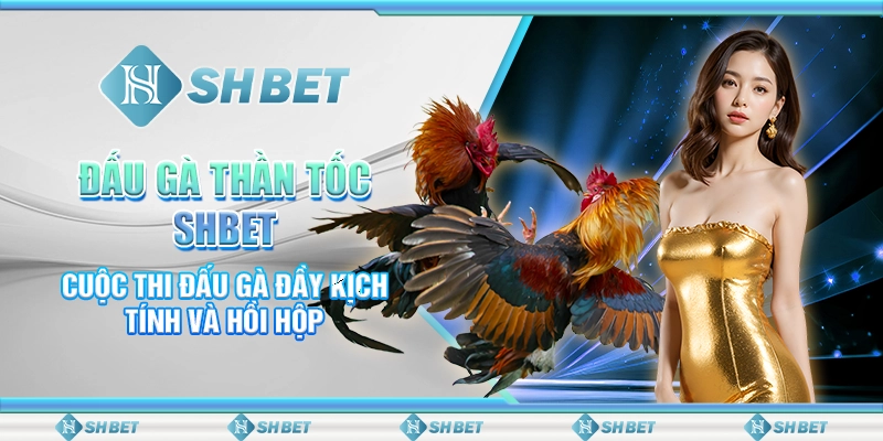 Đấu Gà Thần Tốc SHBET- Cuộc Thi Đấu Gà Đầy Kịch Tính Và Hồi Hộp