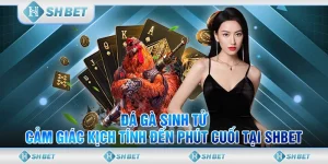 đá gà sinh tử