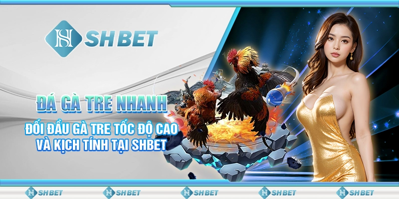Đá Gà Tre Nhanh- Đối Đầu Gà Tre Tốc Độ Cao Và Kịch Tính Tại SHBET