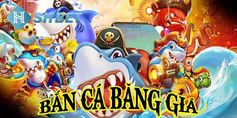 Bắn cá băng giá giữa trời tuyết