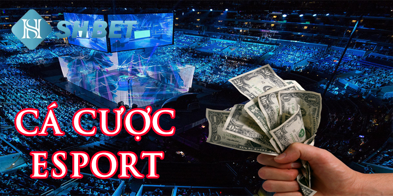 Tham gia cá cược esport để trải nghiệm giây phút giải trí tuyệt vời