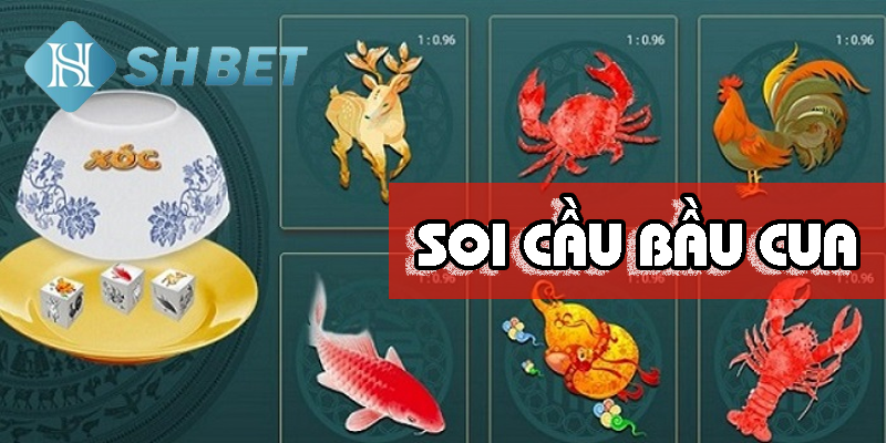 Các loại cầu phổ biến tưởng lạ mà quen