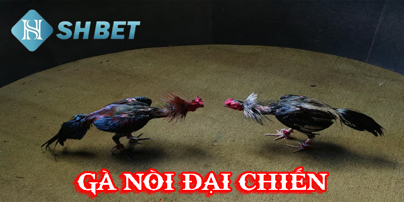 Cạnh tranh, hồi hộp trong từng cảm xúc người chơi