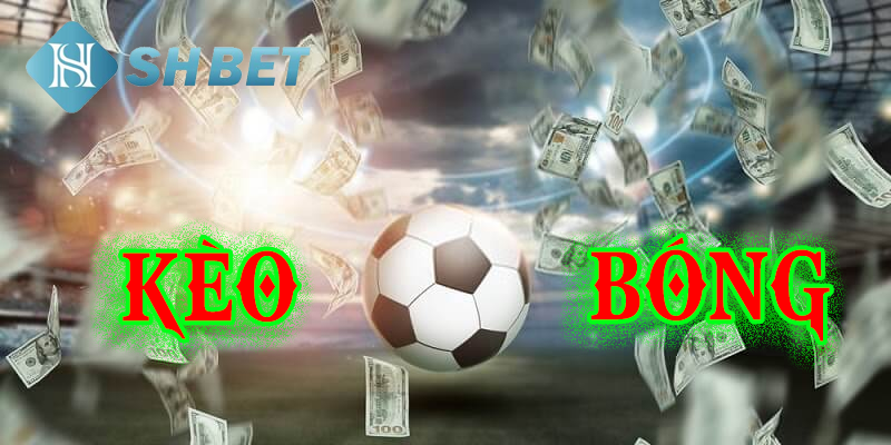 Chọn SHBET là điểm xem kèo hấp dẫn