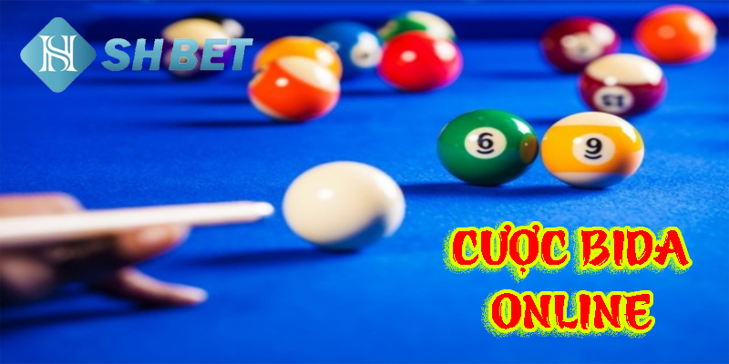 Cược bida online- đẳng cấp chơi bi lỗ