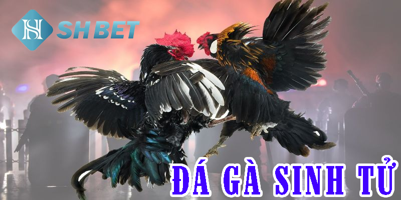 Tham gia game để trải nghiệm cung bậc cảm xúc