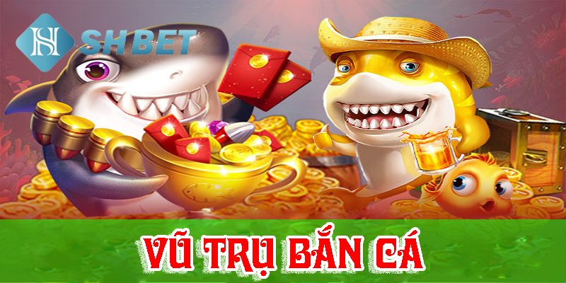 Đặt ra vốn tự có hợp lý trước khi chơi