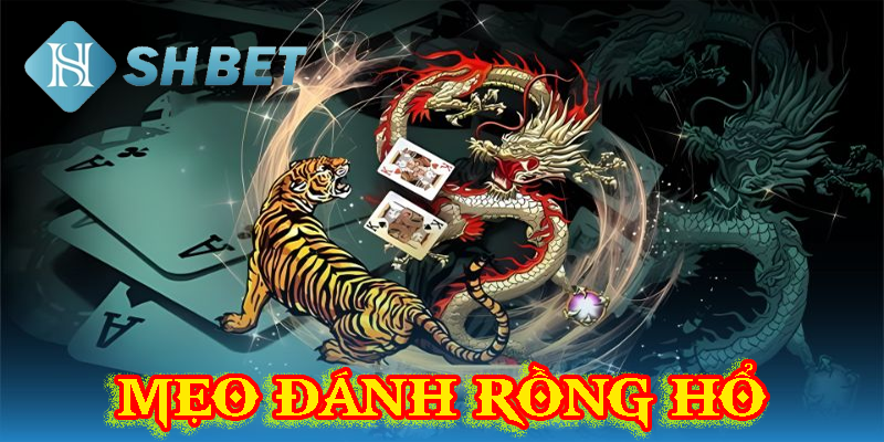 Ekip hỗ trợ 24/7