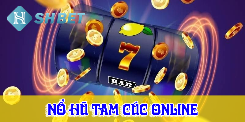 Lợi ích ngập tràn