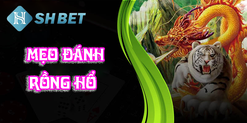 Mẹo đánh rồng hổ- thử tài cùng game thủ