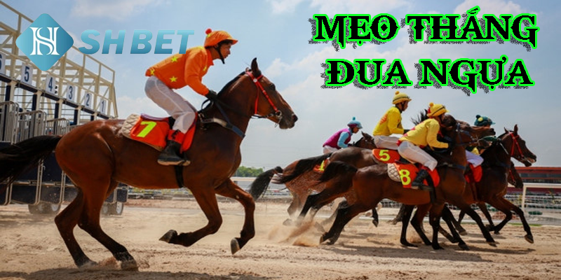 Quản lý ngân sách- mẹo thắng đua ngựa mà người chơi không được bỏ qua
