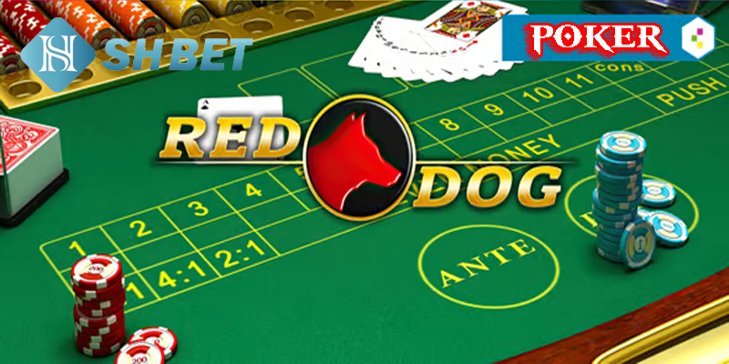 Red Dog Poker SHBET- Khám Phá Cách Chơi Poker Đầy Thú Vị