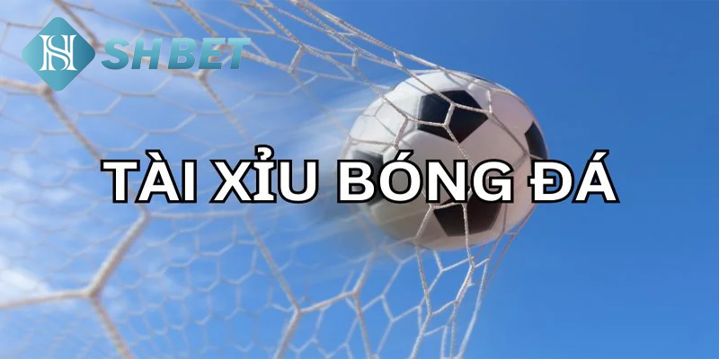 Tài xỉu 3/4 hot nhất 2024