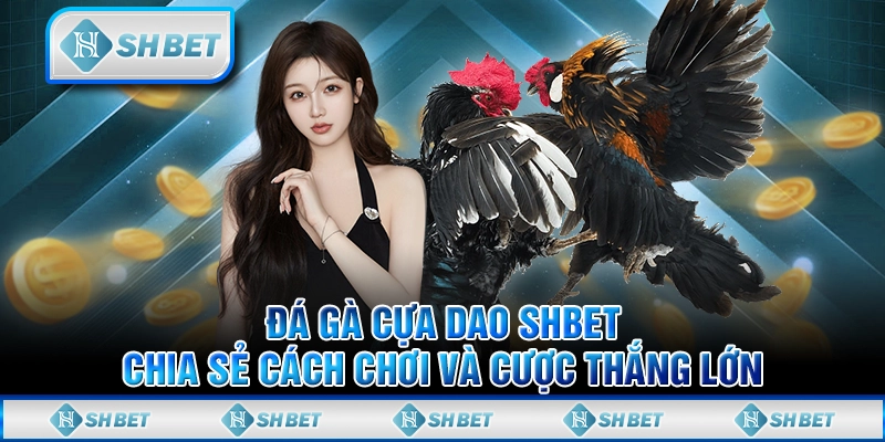 Đá Gà Cựa Dao SHBET - Chia Sẻ Cách Chơi Và Cược Thắng Lớn
