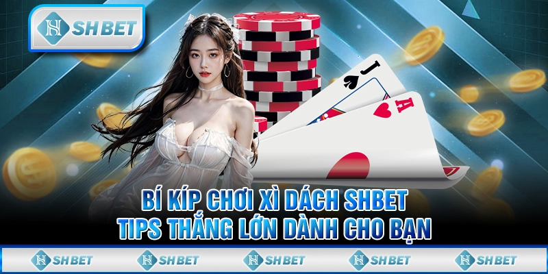 Bí Kíp Chơi Xì Dách SHBET - Tips Thắng Lớn Dành Cho Bạn