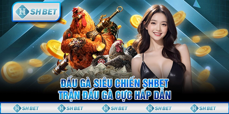 Đấu Gà Siêu Chiến SHBET- Trận Đấu Gà Cực Hấp Dẫn
