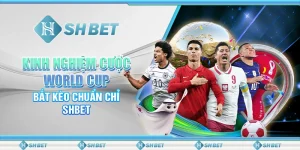 Kinh Nghiệm Cược World Cup – Bắt Kèo Chuẩn Chỉ SHBET