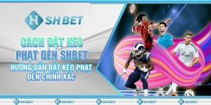 Rồng Hổ Trực Tuyến – Trải Nghiệm Trò Chơi Rồng Hổ Online Đỉnh Cao Tại SHBET