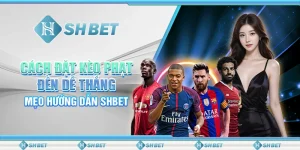 Cách Đặt Kèo Phạt Đền Dễ Thắng – Mẹo Hướng Dẫn SHBET