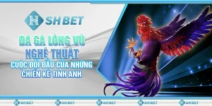 Đá Gà Lông Vũ Nghệ Thuật SHBET – Cuộc Đối Đầu Giữa Chiến Kê