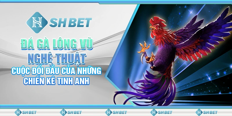 Đá Gà Lông Vũ Nghệ Thuật SHBET – Cuộc Đối Đầu Giữa Chiến Kê