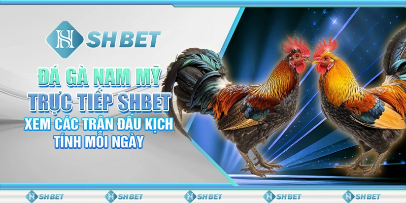Đá Gà Nam Mỹ Trực Tiếp SHBET – Trận Đấu Kịch Tính Mỗi Ngày