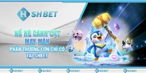 Nổ Hũ Cánh Cụt May Mắn – Phần Thưởng Lớn Chỉ Có Tại SHBET