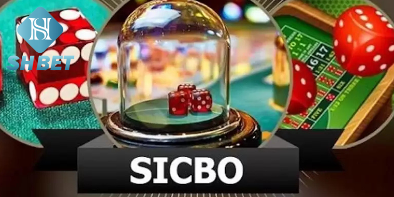 Bàn chơi Sicbo Xúc Xắc SHBET với ba viên xúc xắc