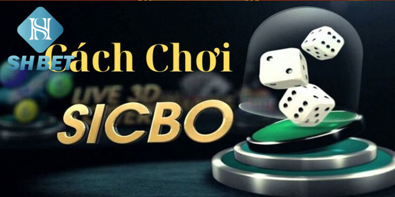 Người chơi tham gia Sicbo Xúc Xắc trực tuyến